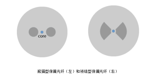 明美顯微成像系統