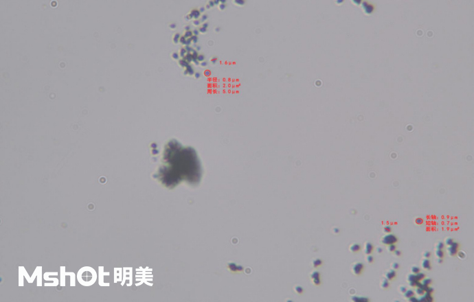 青金石用什么顯微鏡看？