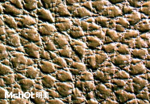 皮革質(zhì)量和真假鑒定，要用什么顯微鏡？