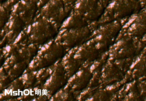 皮革質(zhì)量和真假鑒定，要用什么顯微鏡？