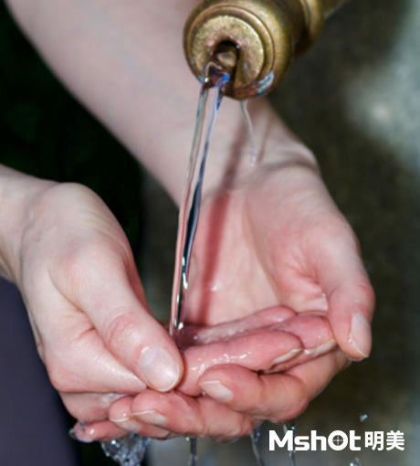 顯微鏡下的細菌