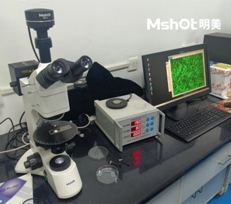 不同顯微鏡應用于材料學(xué)