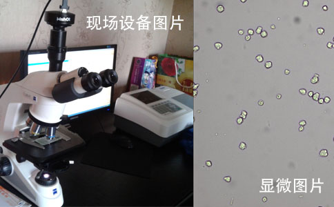現場(chǎng)設備拍攝圖