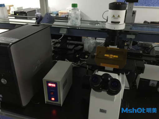 明美研究級倒置熒光顯微鏡MF53搭配研究級顯微數字相機MSX2用于實(shí)驗室篩選